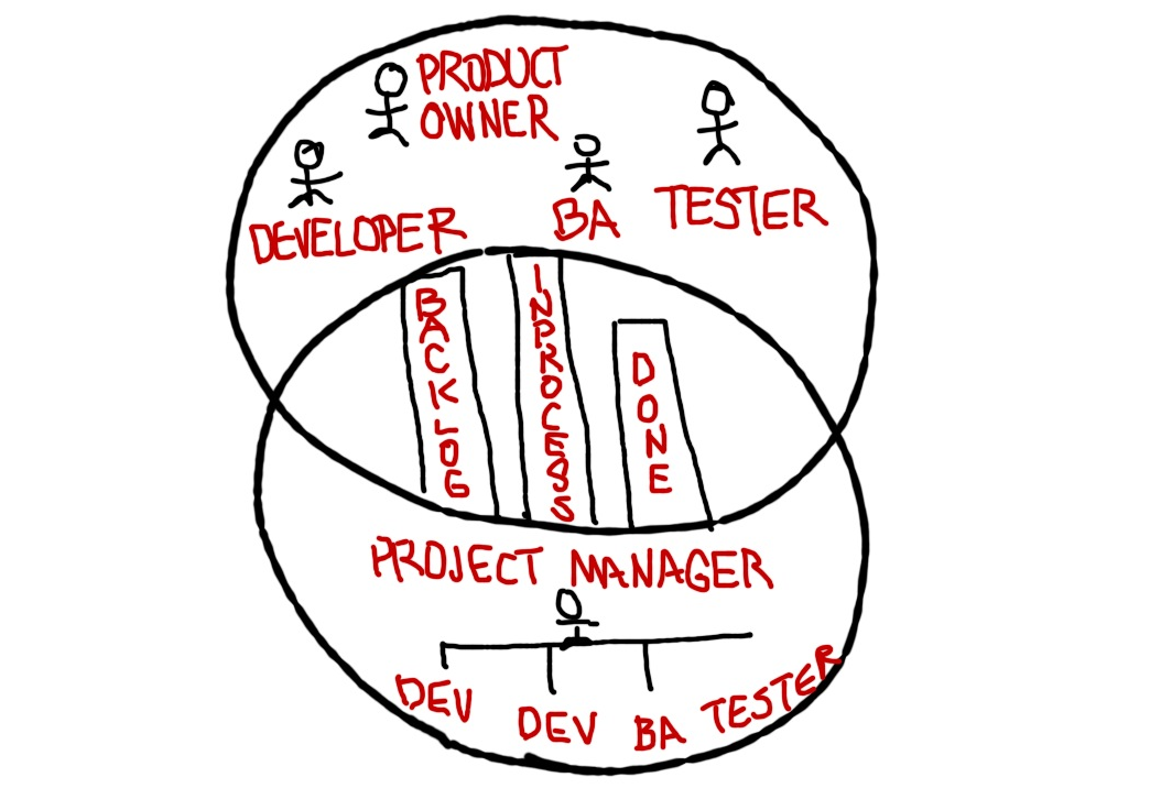 Agile Teams