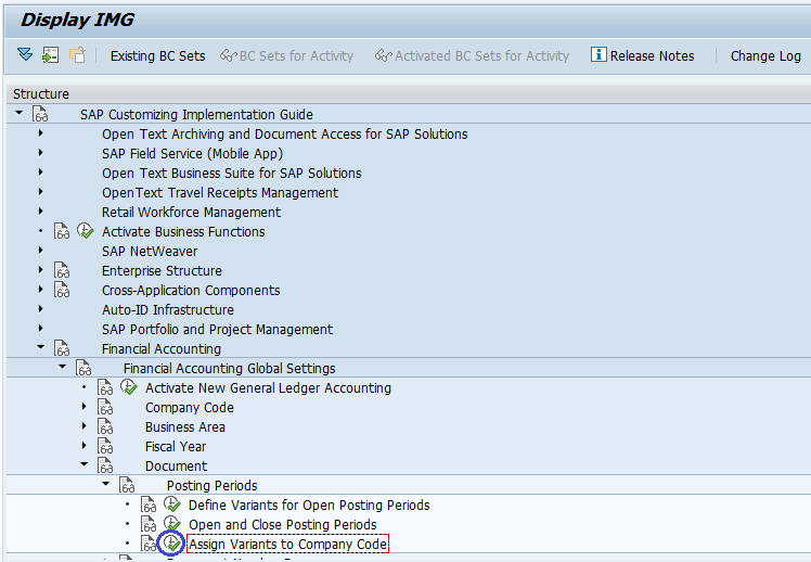 Assign Variant to Company Code