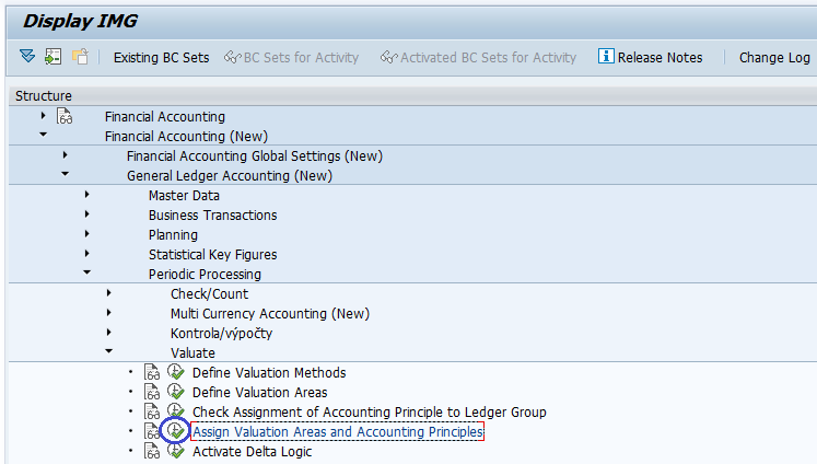 assign-valuation-areas-and-accounting-principles.htm