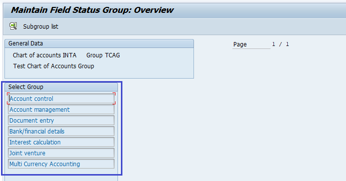 Chart of Account Group