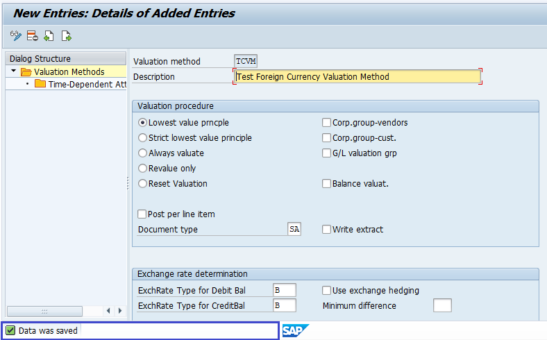 Foreign Currency Valuation