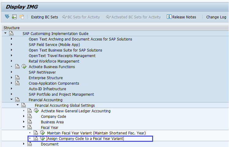 Assign Company Code to Fiscal Year Variant