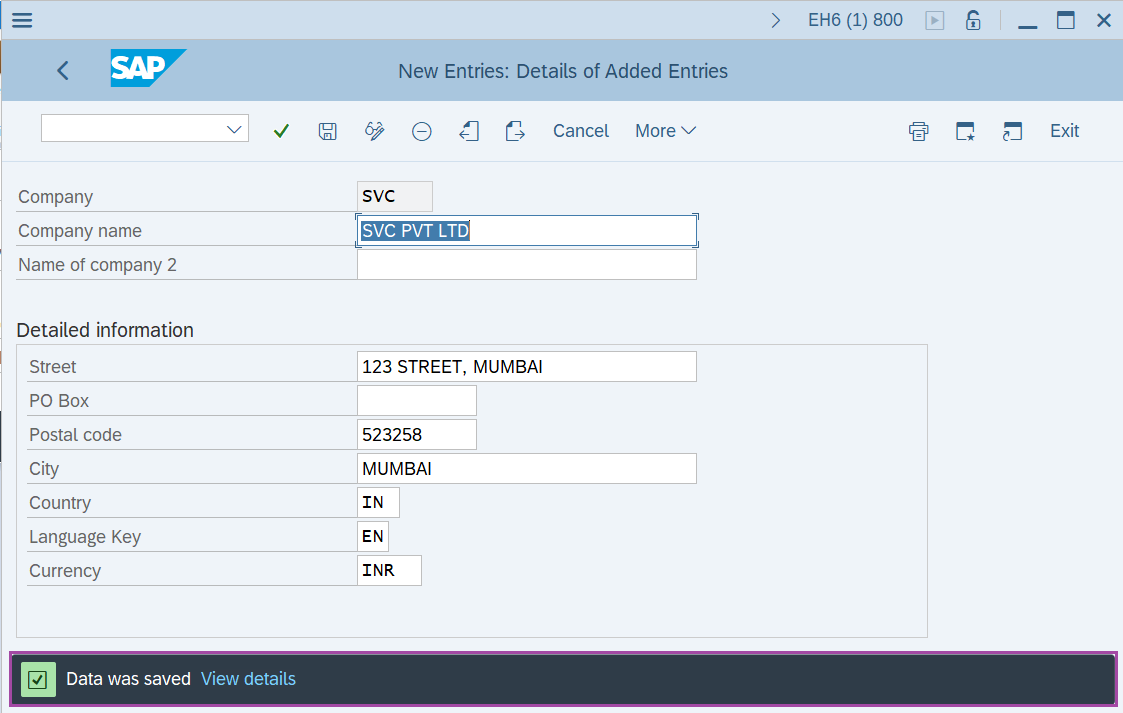 Define Company in SAP